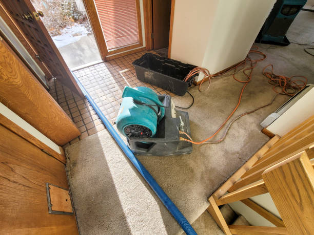 Reliable Lakemoor, IL Water damage restoration Solutions