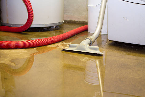 Trusted Water Damage Restoration in Lakemoor, IL | Fast, Reliable, and Ready to Assist You